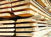 Holz